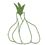 knoflook
